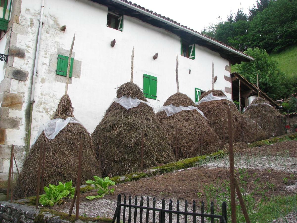 Albergue Olasenea Aterpea Zubieta Екстериор снимка