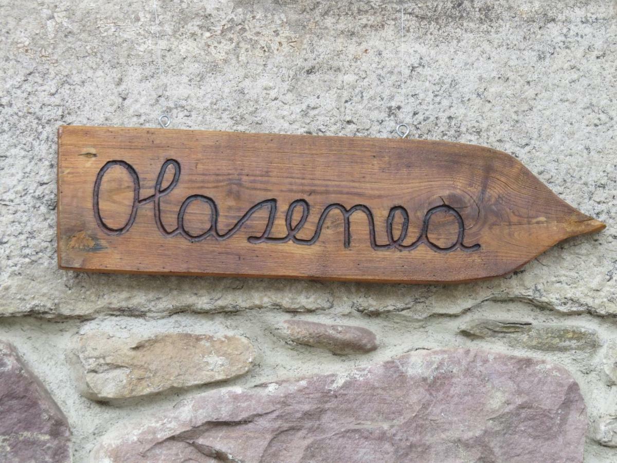 Albergue Olasenea Aterpea Zubieta Екстериор снимка